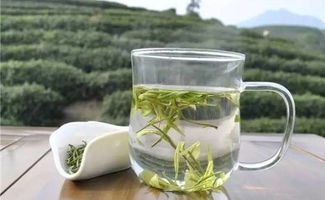 茶商巡禮之大霧山茶業(yè) 以茶為心，以誠為葉
